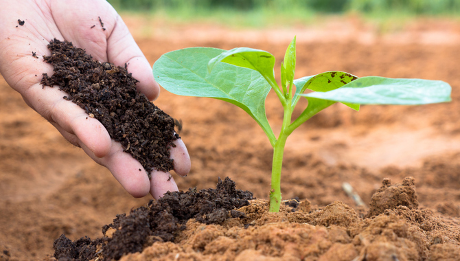 Beneficial Uses Of Vermicompost