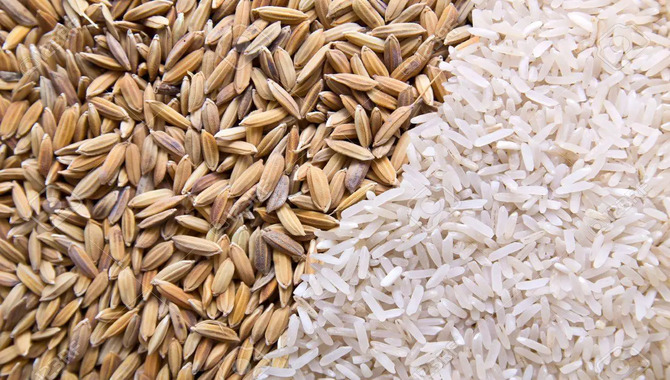 Brown Rice Husk