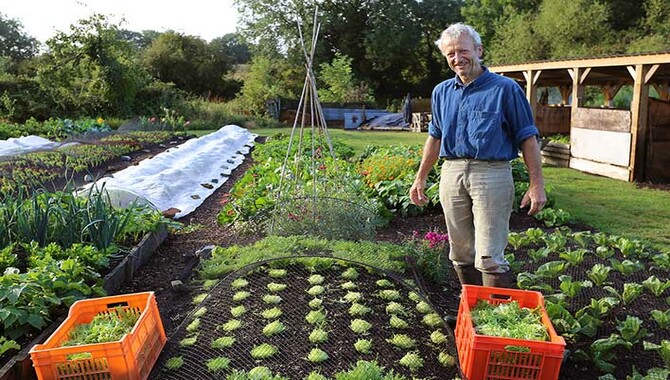 Composting For Gardeners