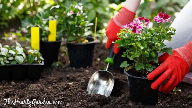 Create A Garden That Reflects Your Personality