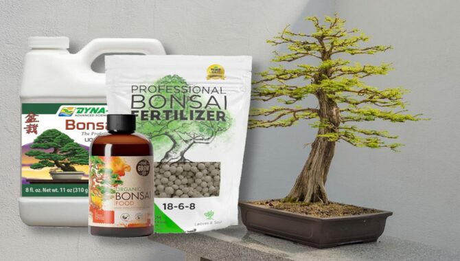 Fertilize Bonsai Trees Using Manure