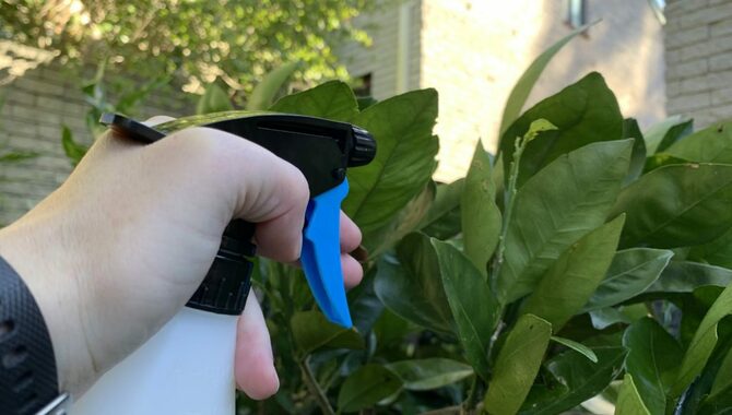 How Do I Spray Neem Oil On My Hostas