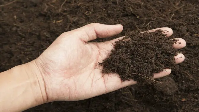 How Many Cubic Feet Are 40 Pounds Of Soil