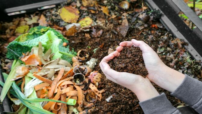 How To Turn The Compost Heap Into Usable Vermicompost