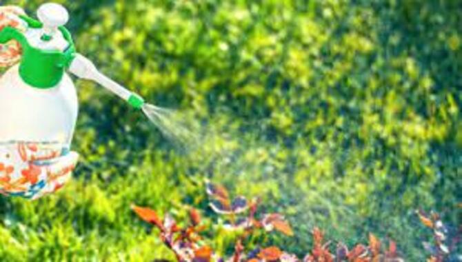 How To Use Natural Methods Of Pest Control