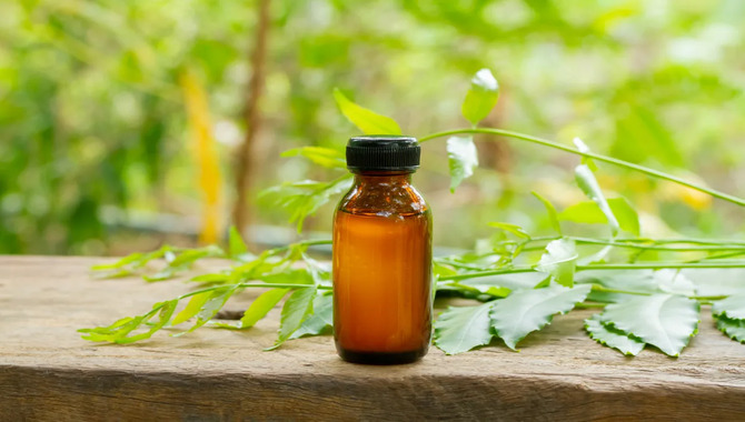 How To Use Neem Oil Safely And Effectively