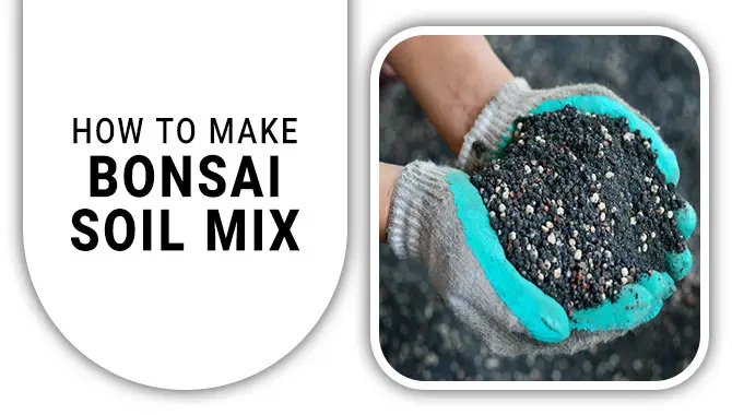 How To Make Bonsai Soil Mix