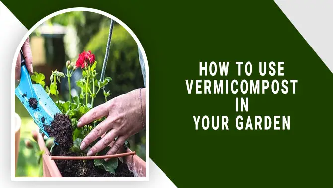 How to Use Vermicompost in Your Garden