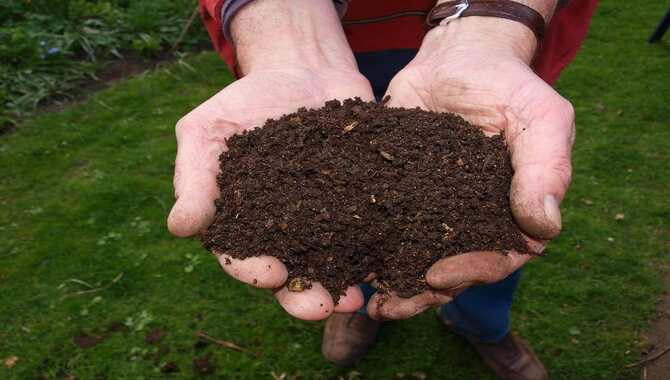 How to make vermicompost