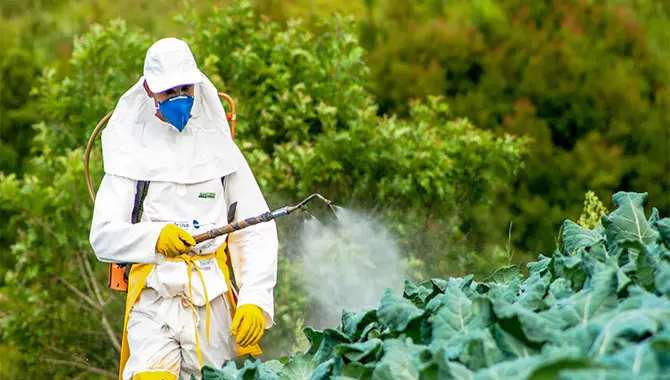 Pesticides And Their Effects On The Environment