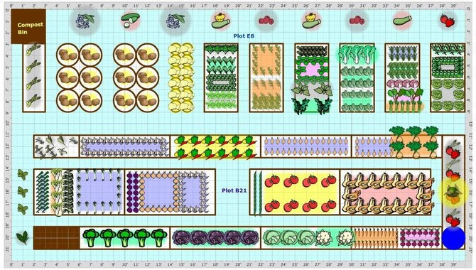 Planning your garden layout