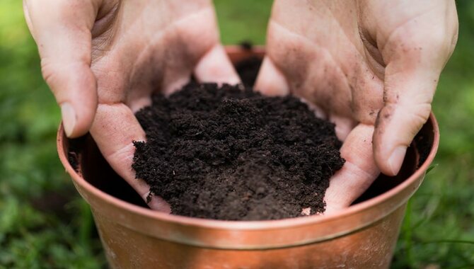 Potting Soil