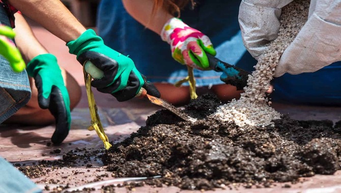 Precautions while making Bonsai soil mix