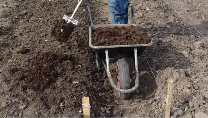 Preparing The Environment For Composting