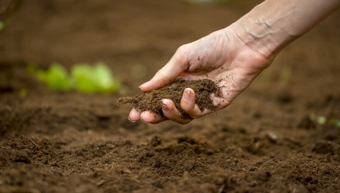 Preparing The Soil