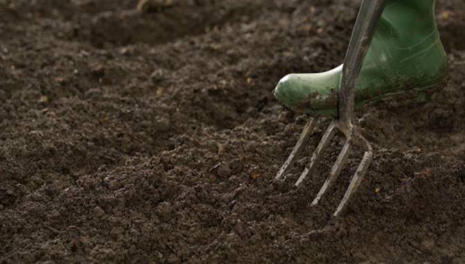 Preparing Your Soil