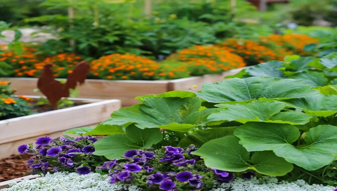 Tips For Planning And Planting A Small Garden