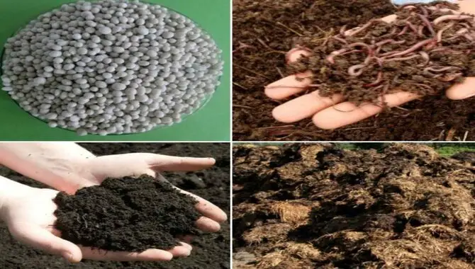 Types Of Manure You Can Use