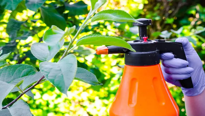 Valuable Tips On How To Use Natural Pesticides Safely.jpeg