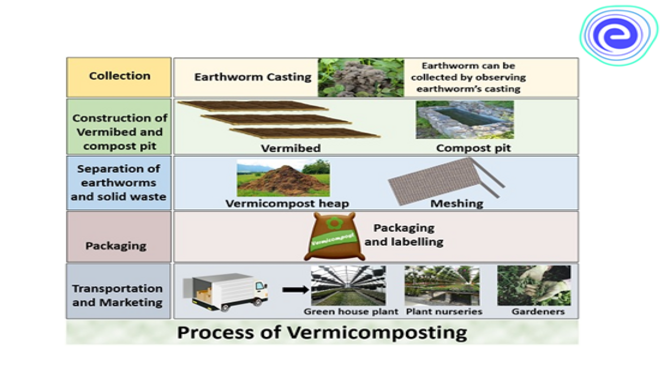 Vermicomposting Process