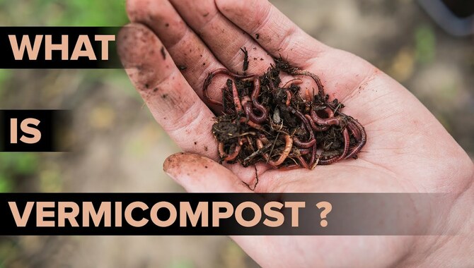 What Is Vermicompost?