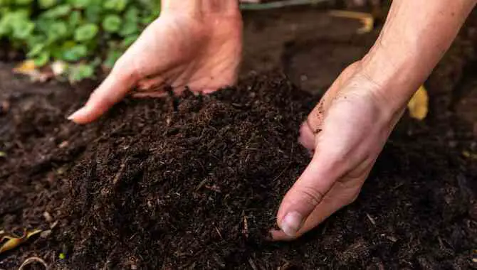  What Kind Of Manure Should You Use