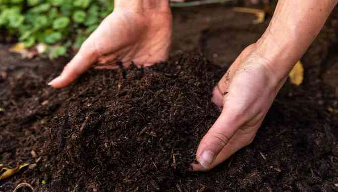  What Kind Of Manure Should You Use