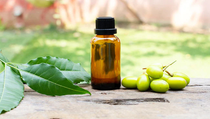 What Other Benefits Does Neem Oil