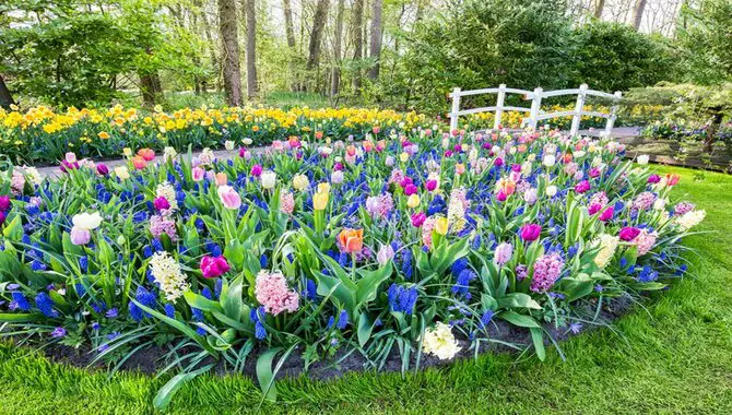 What To Expect When Planting Bulbs