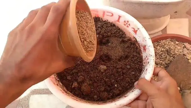 What is Bonsai soil mix