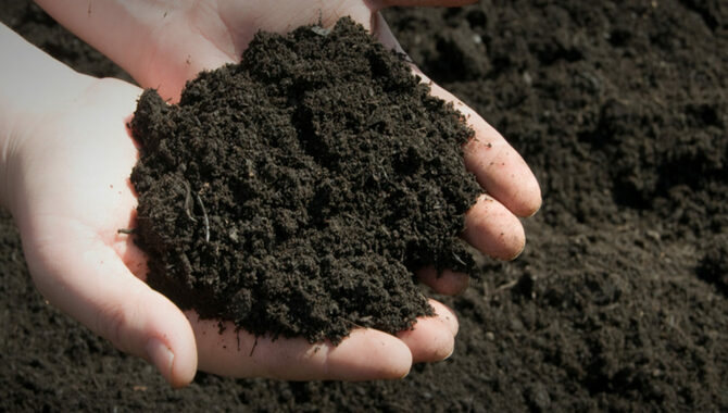 Why Is It Essential To Have A Good Amount Of Topsoil