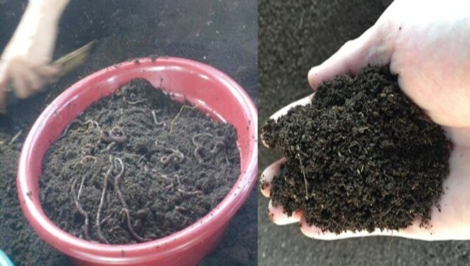 Why Make Vermicompost?