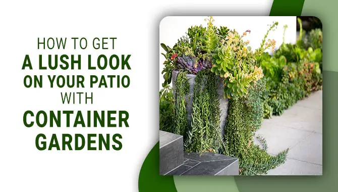 How To Get A Lush Look On Your Patio With Container Gardens