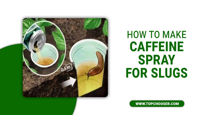 How To Make Caffeine Spray For Slugs