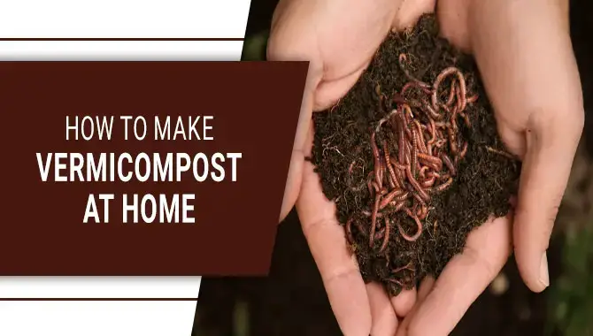 How to Make Vermicompost at Home