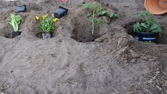 Dig A Planting Depth Into The Rock