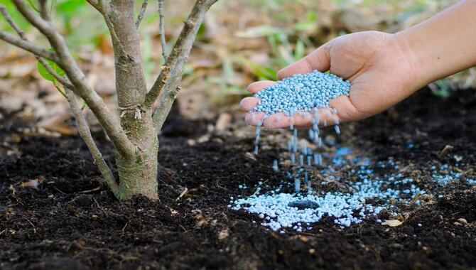 Fertilizing The Tree