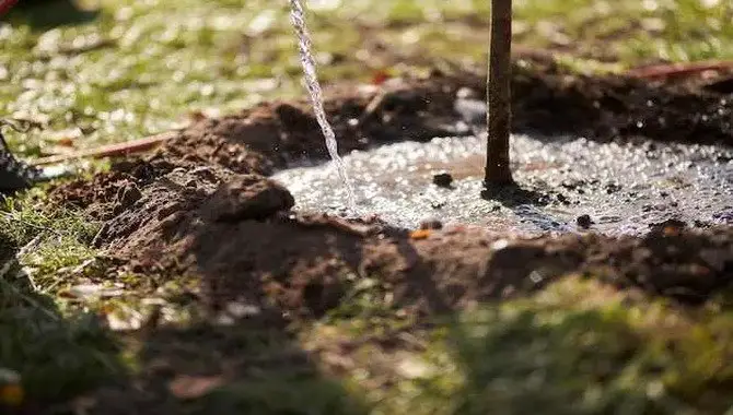 Fill In With Fresh Soil And Water Well