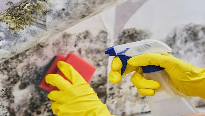 How Can You Clean Moldy Surfaces And Items?