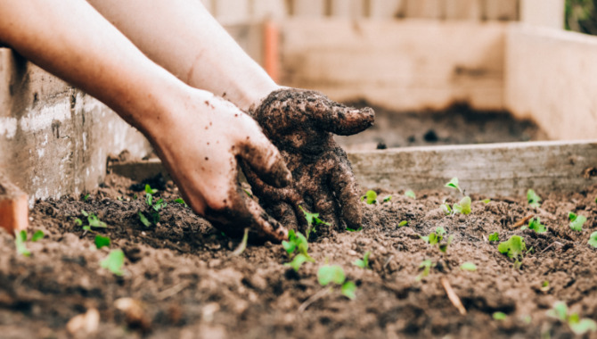 How To Make Your Soil Fertile