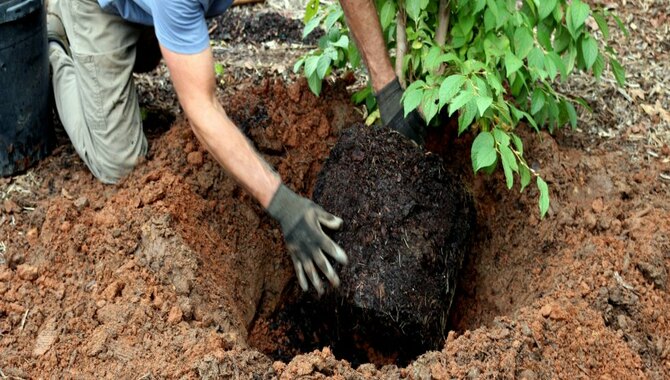 Mark Out A Hole For Your Planting