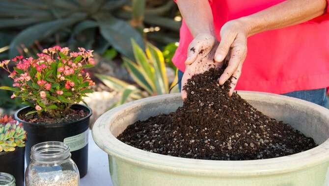 Potting Soil