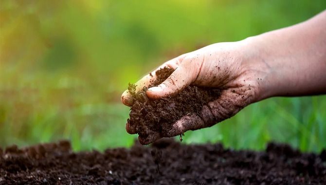 Proper Soil Preparation