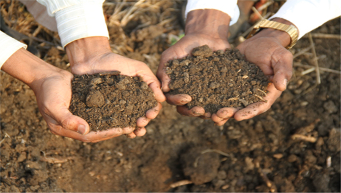 The Benefits Of Fertile Soil