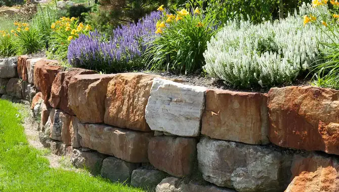 15 Steps To Plant Into An Existing Rock Wall