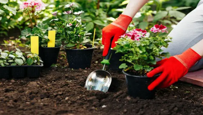 6 Easy Steps To Bag Of Topsoil In A One-Yard Success Garden
