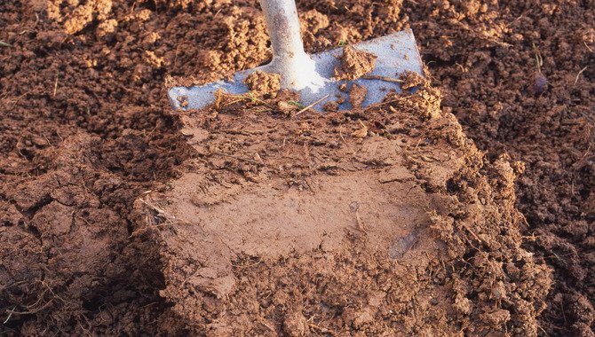 Clay Soil