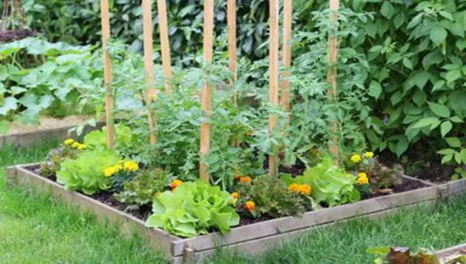 Fruit, Vegetable, And Herb Gardens