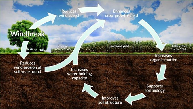How Do You Improve Soil Health