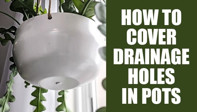How To Cover Drainage Holes In Pots